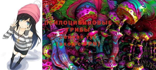 ешки Бронницы