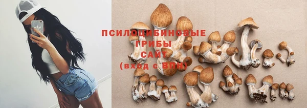ешки Бронницы