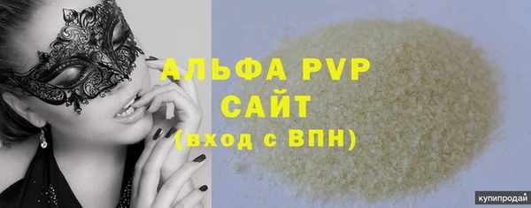 спиды Бородино