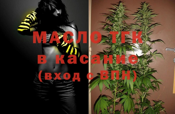 спиды Бородино