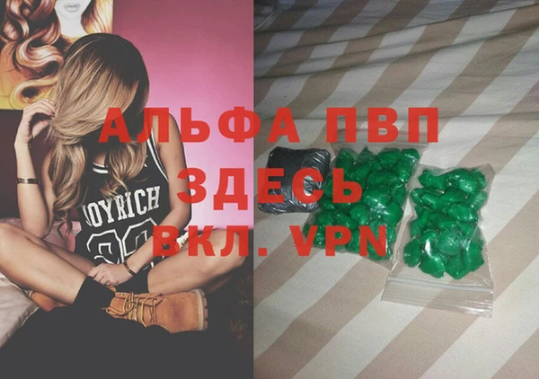 спиды Бородино
