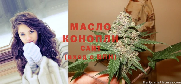 спиды Бородино
