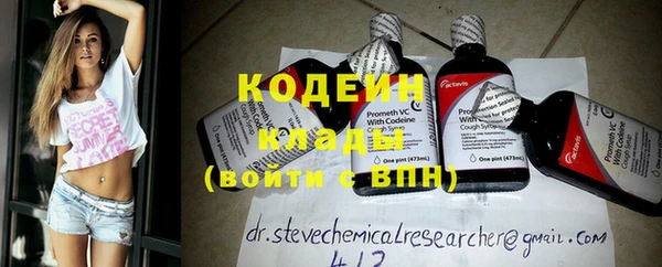 спиды Бородино
