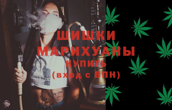 ешки Бронницы